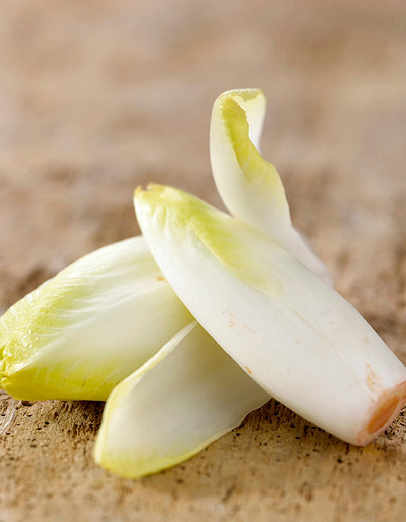 Endive-glacee