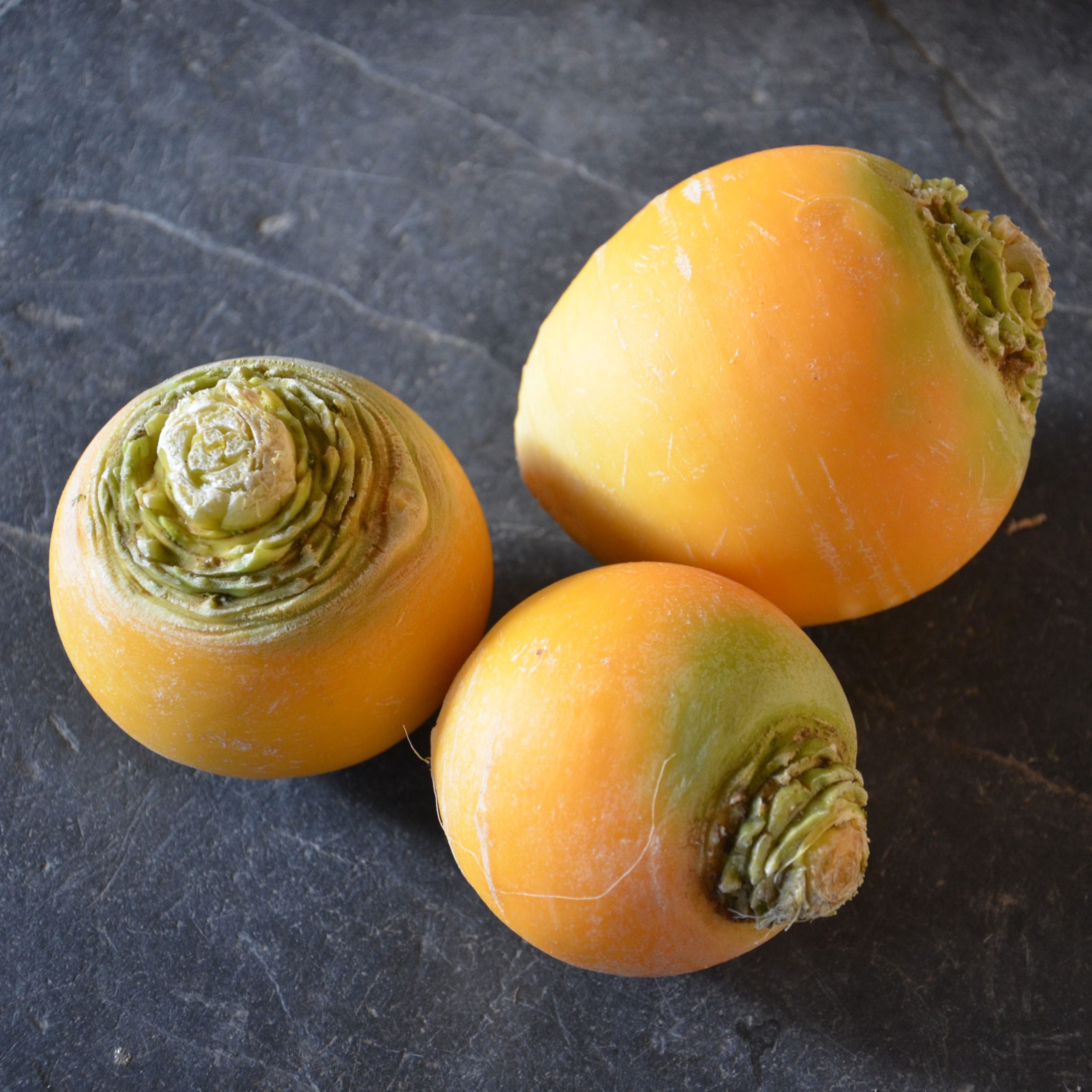 navet-jaune-boule-d-or
