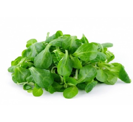 salade Mâche