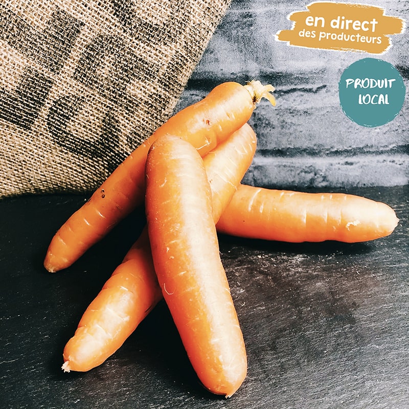 CAROTTES-min