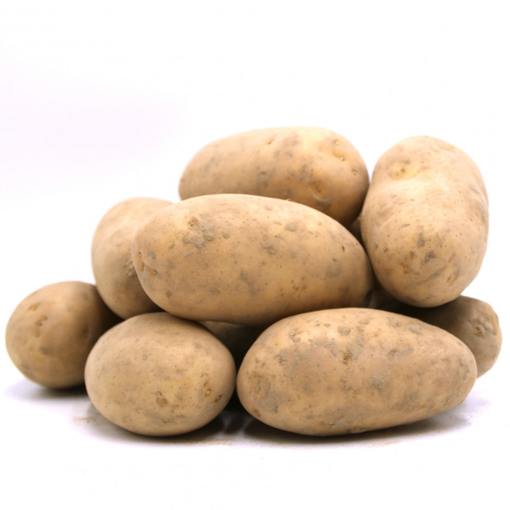 Pomme de terre Charlotte bio